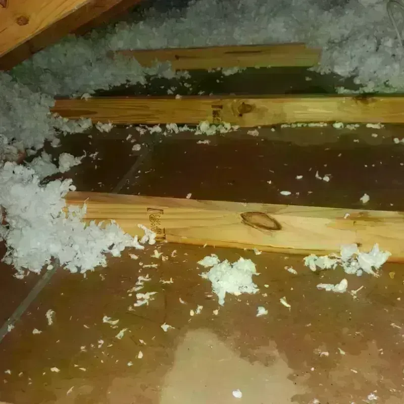 Attic Water Damage in Weedpatch, CA