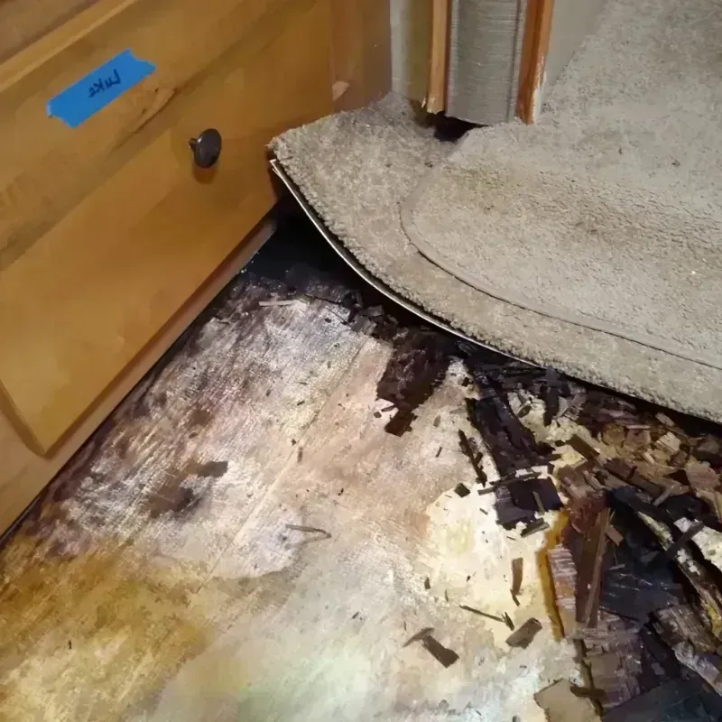 Wood Floor Water Damage in Weedpatch, CA